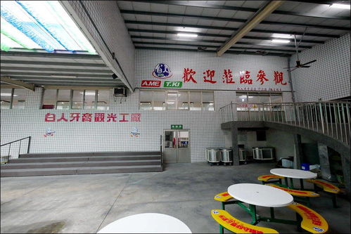 臺灣工業旅游之特立獨行的白人牙膏觀光工廠