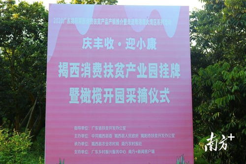 產業旅游齊發力,我為山清水秀的揭西灰寨鎮打call 丨 鎮上來了工作隊④
